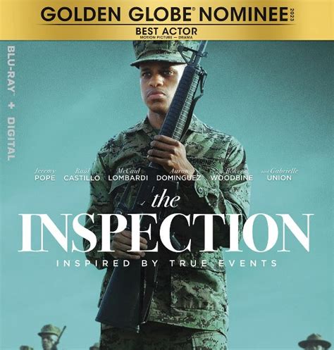 the inspection dvdscreener|The Inspection .